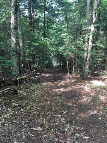 58 Brickyard Road Dover VT 05341