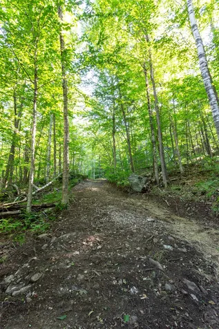 2003 Hale Hollow Road Plymouth VT 05056