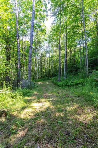 2003 Hale Hollow Road Plymouth VT 05056