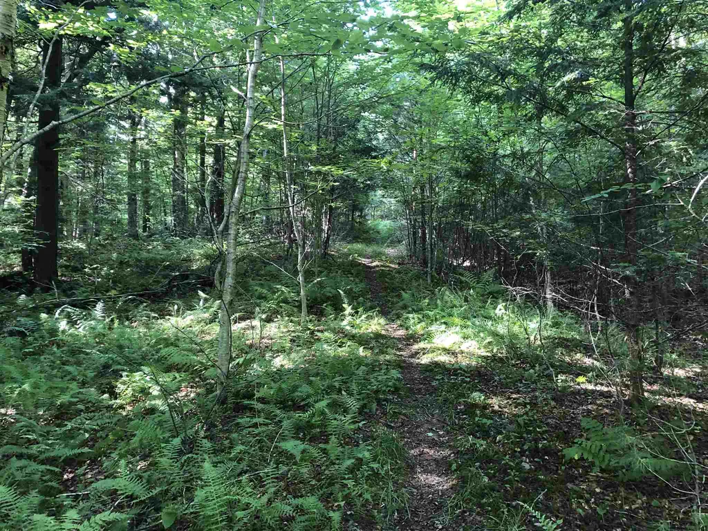 3 Hummingbird Lane Waitsfield VT 05673