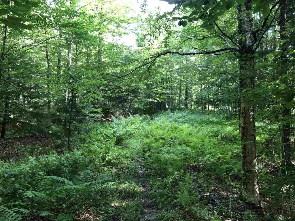 3 Hummingbird Lane Waitsfield VT 05673