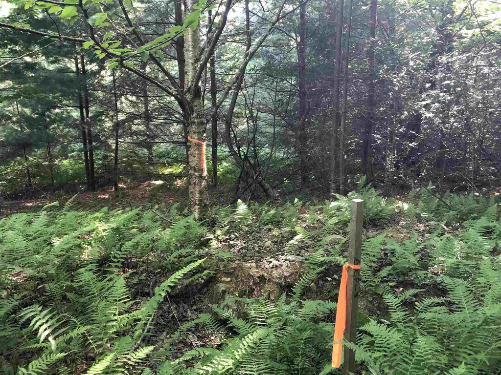 3 Hummingbird Lane Waitsfield VT 05673