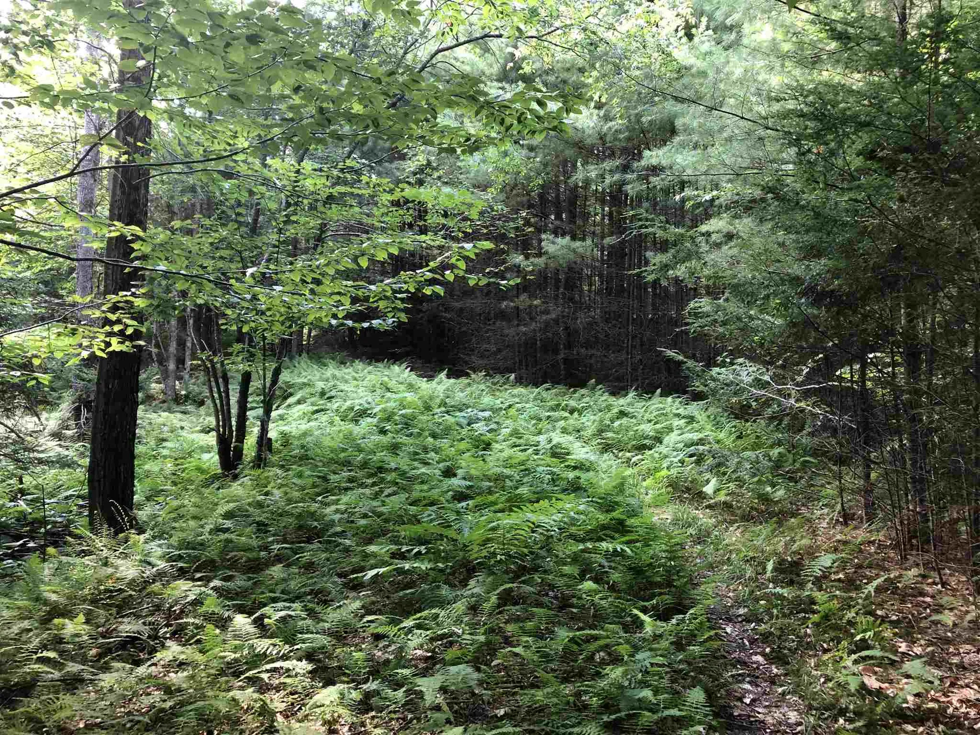3 Hummingbird Lane Waitsfield VT 05673