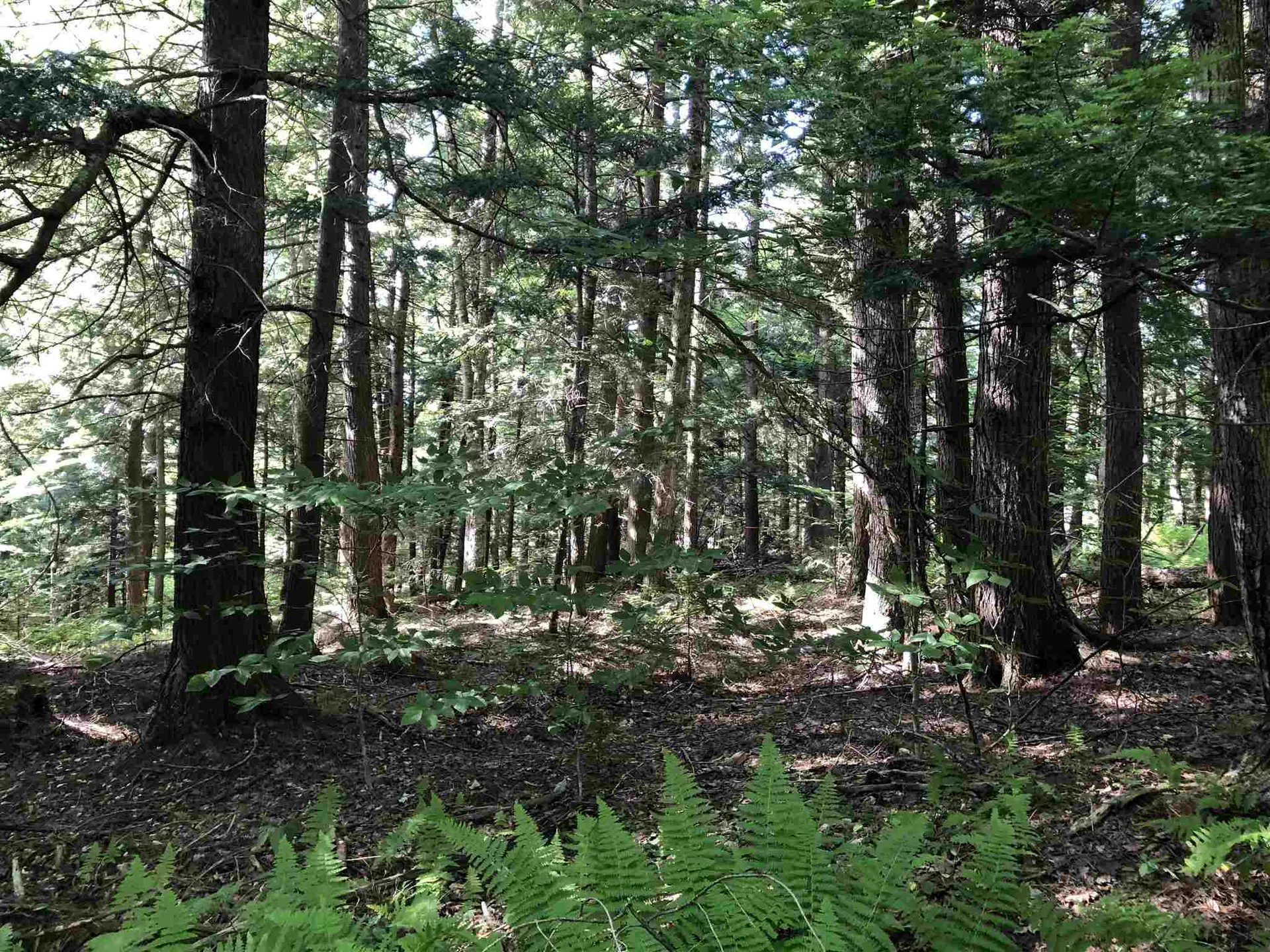 3 Hummingbird Lane Waitsfield VT 05673