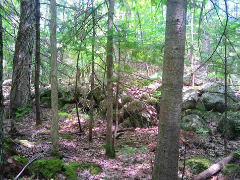 7 Jude Boulevard Ossipee NH 03864