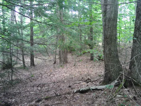 7 Jude Boulevard Ossipee NH 03864
