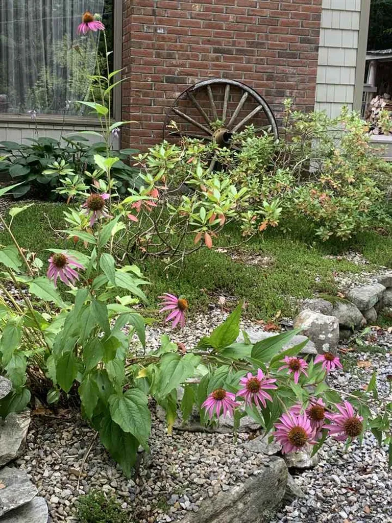 351 Old Stowell Hill Road Londonderry VT 05148