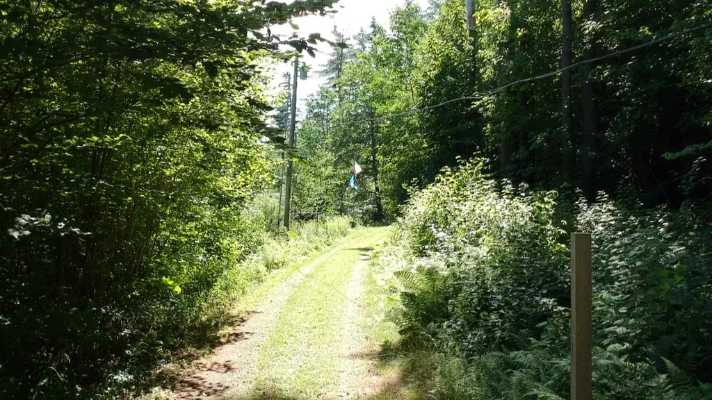 95 Chandler Pond Road Landaff NH 03585