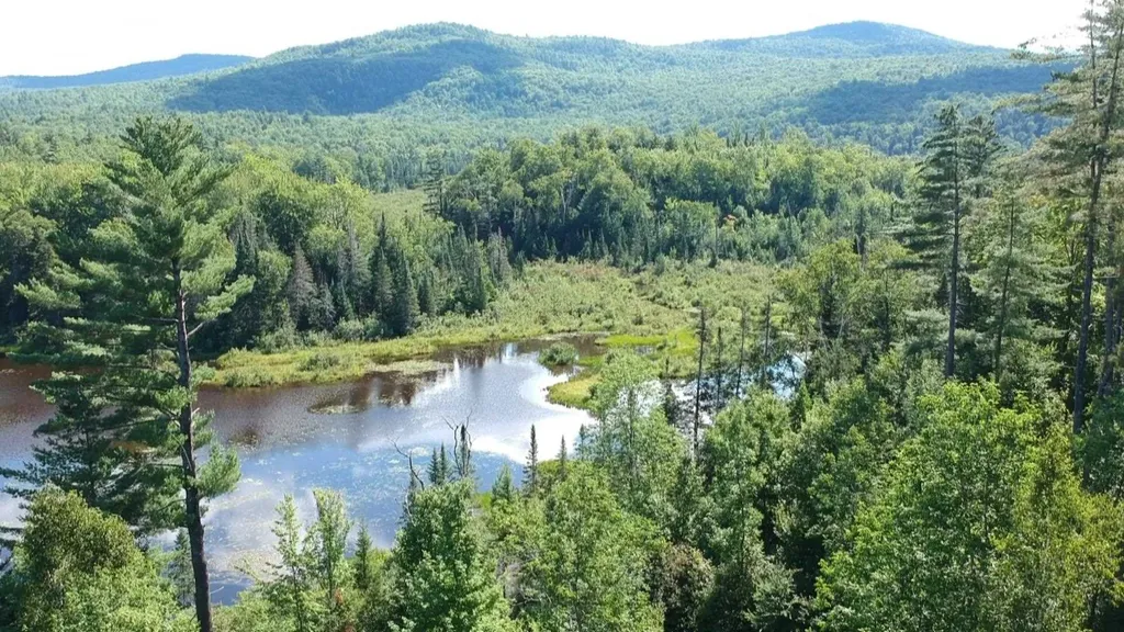 95 Chandler Pond Road Landaff NH 03585