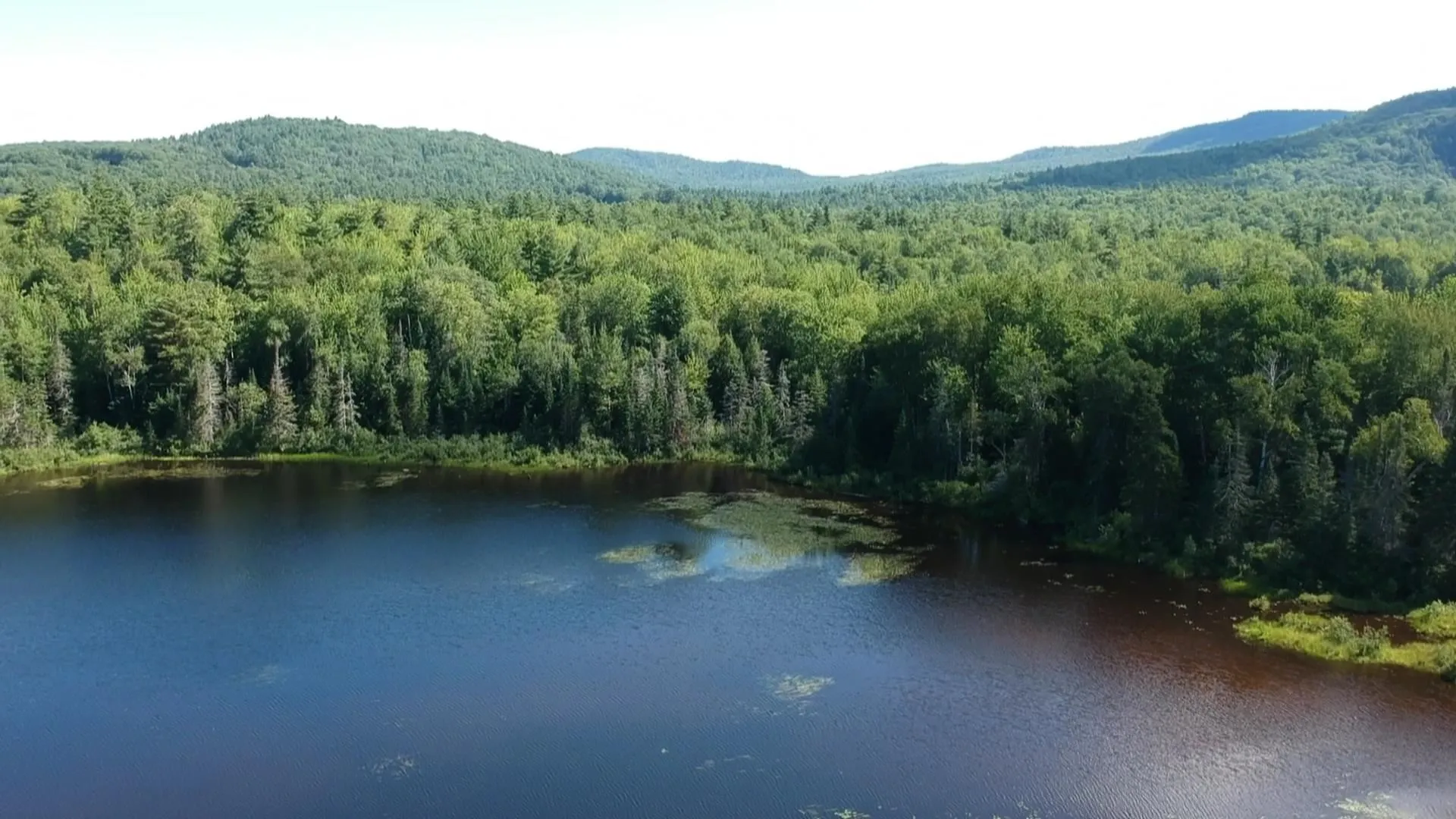 95 Chandler Pond Road Landaff NH 03585