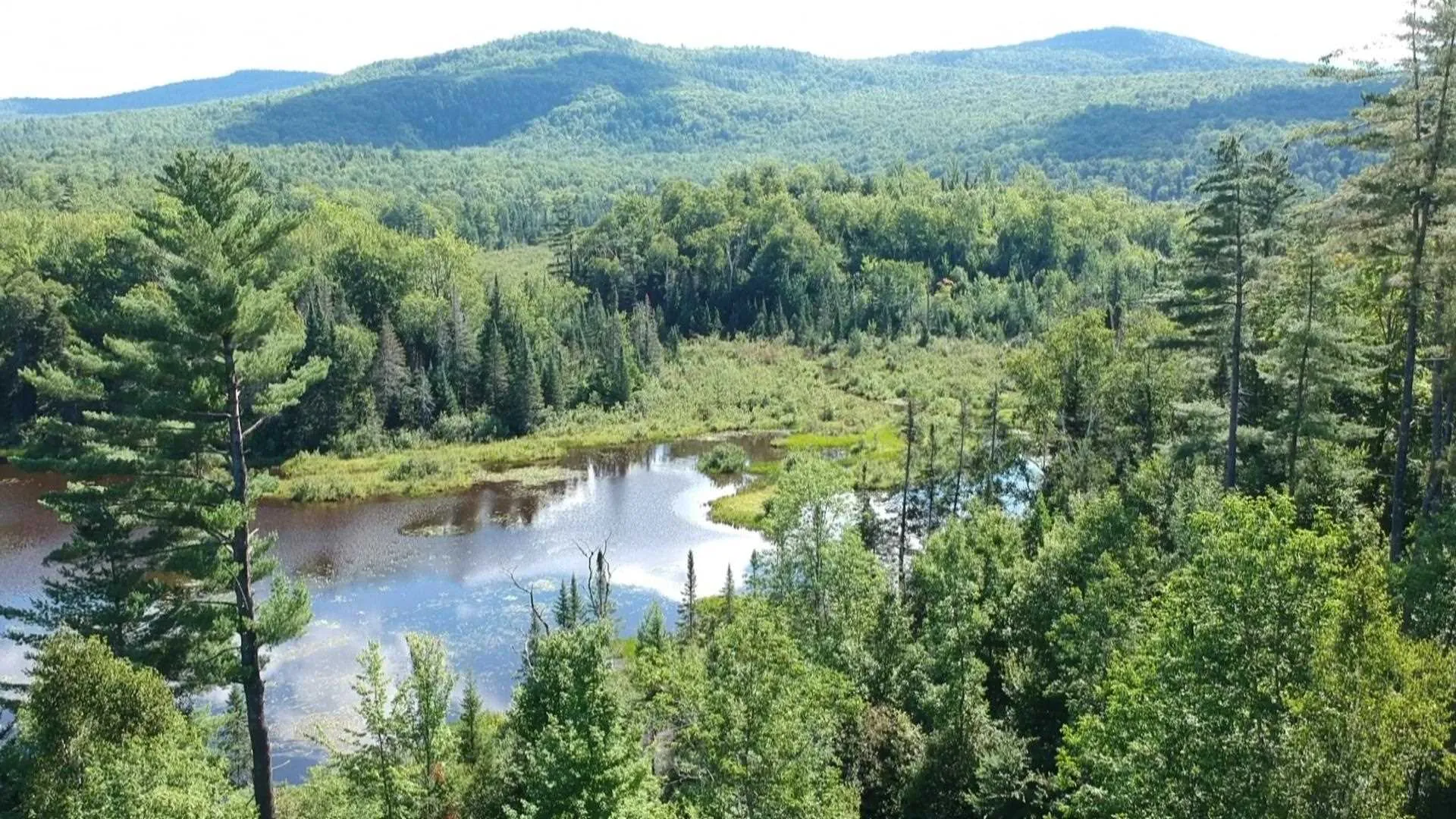 95 Chandler Pond Road Landaff NH 03585