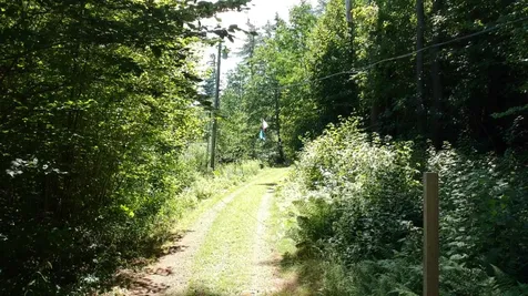 95 Chandler Pond Road Landaff NH 03585