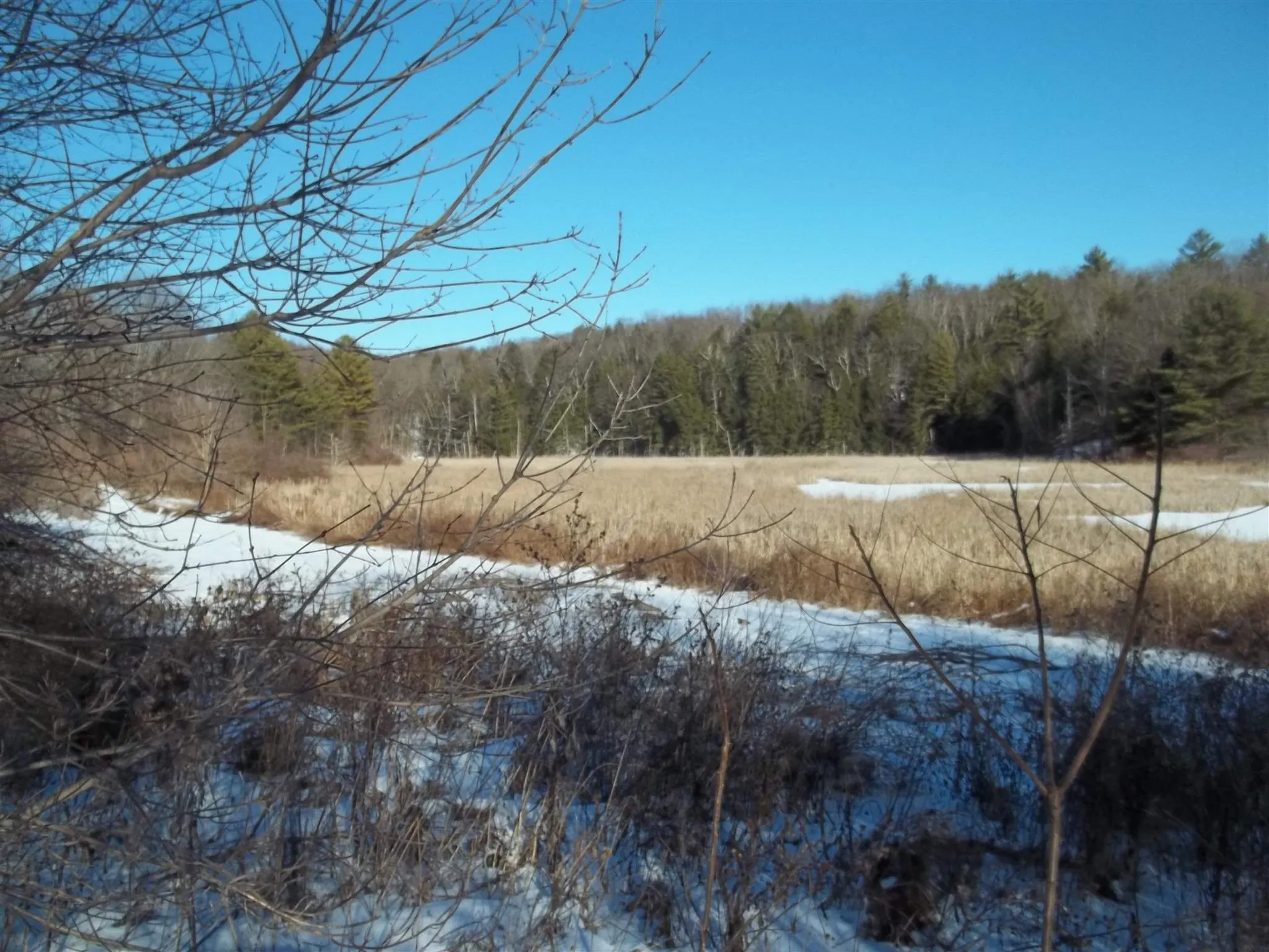 1297 Scotch Hill Road Fair Haven VT 05743