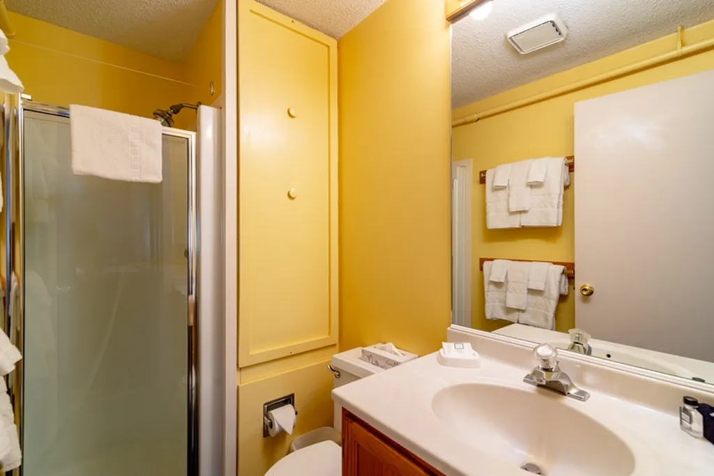 199 Mountainside Drive Stowe VT 05672