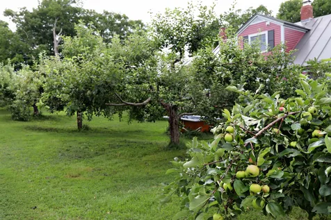 127 Peacham Road Danville VT 05828