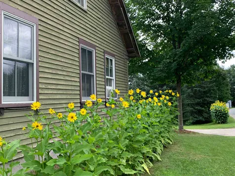 127 Peacham Road Danville VT 05828