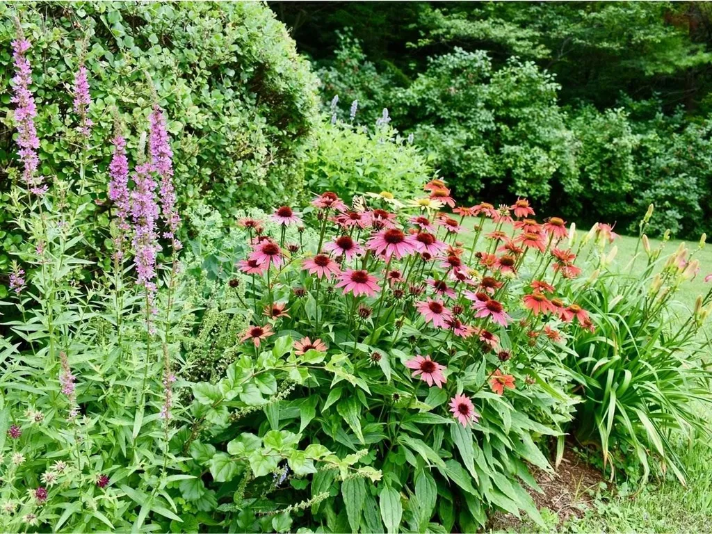 169 Brigham Hill Road Essex VT 05452