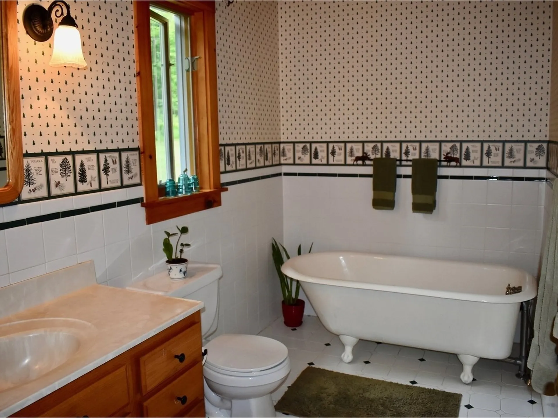 169 Brigham Hill Road Essex VT 05452