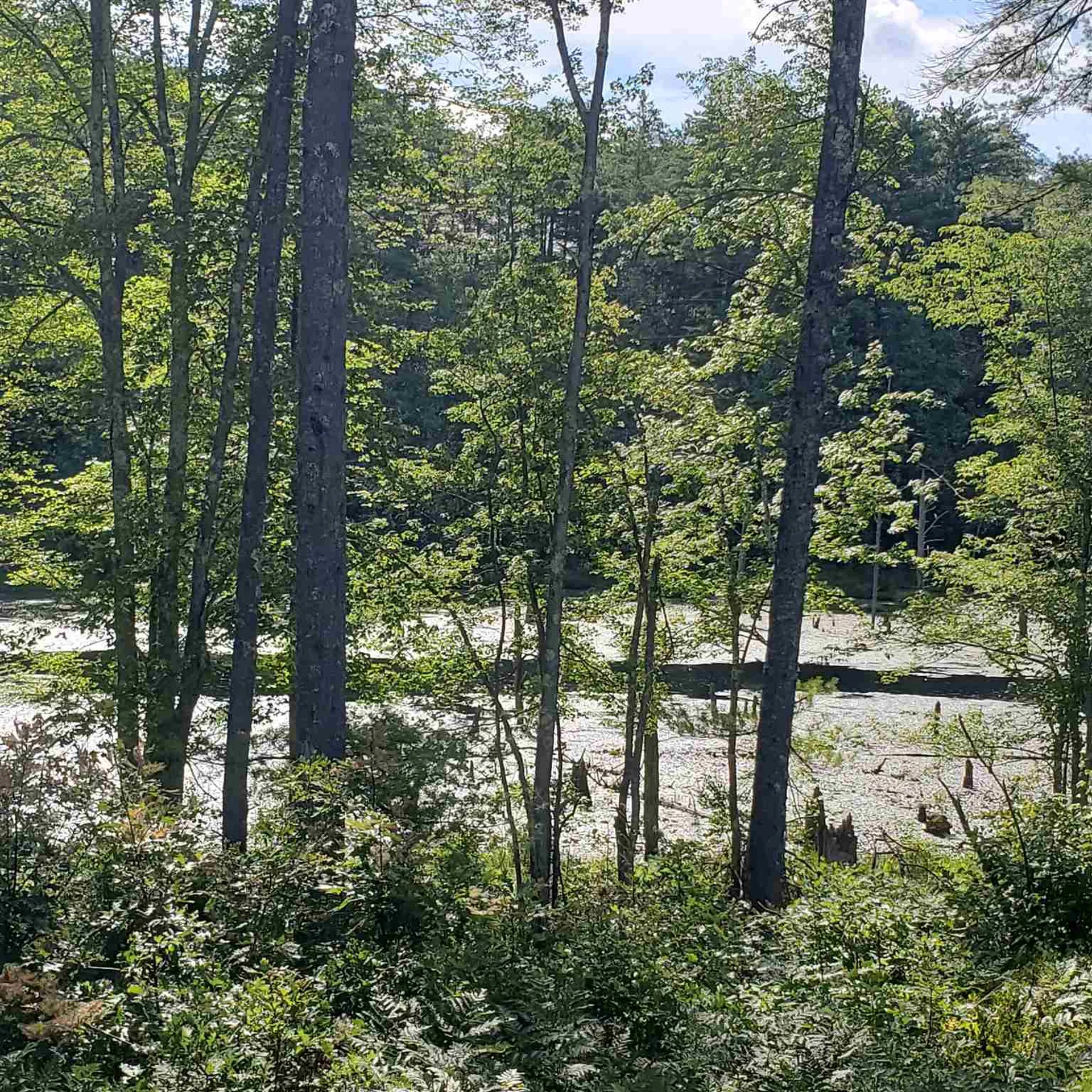 289 Scruton Pond Road Barrington NH 03825