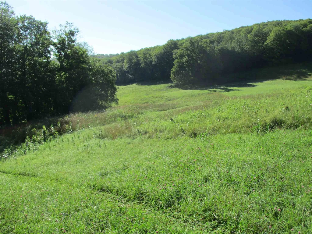 127 Bobbinshop Road Chelsea VT 05038