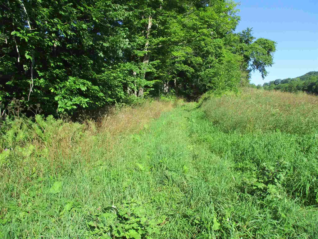 127 Bobbinshop Road Chelsea VT 05038