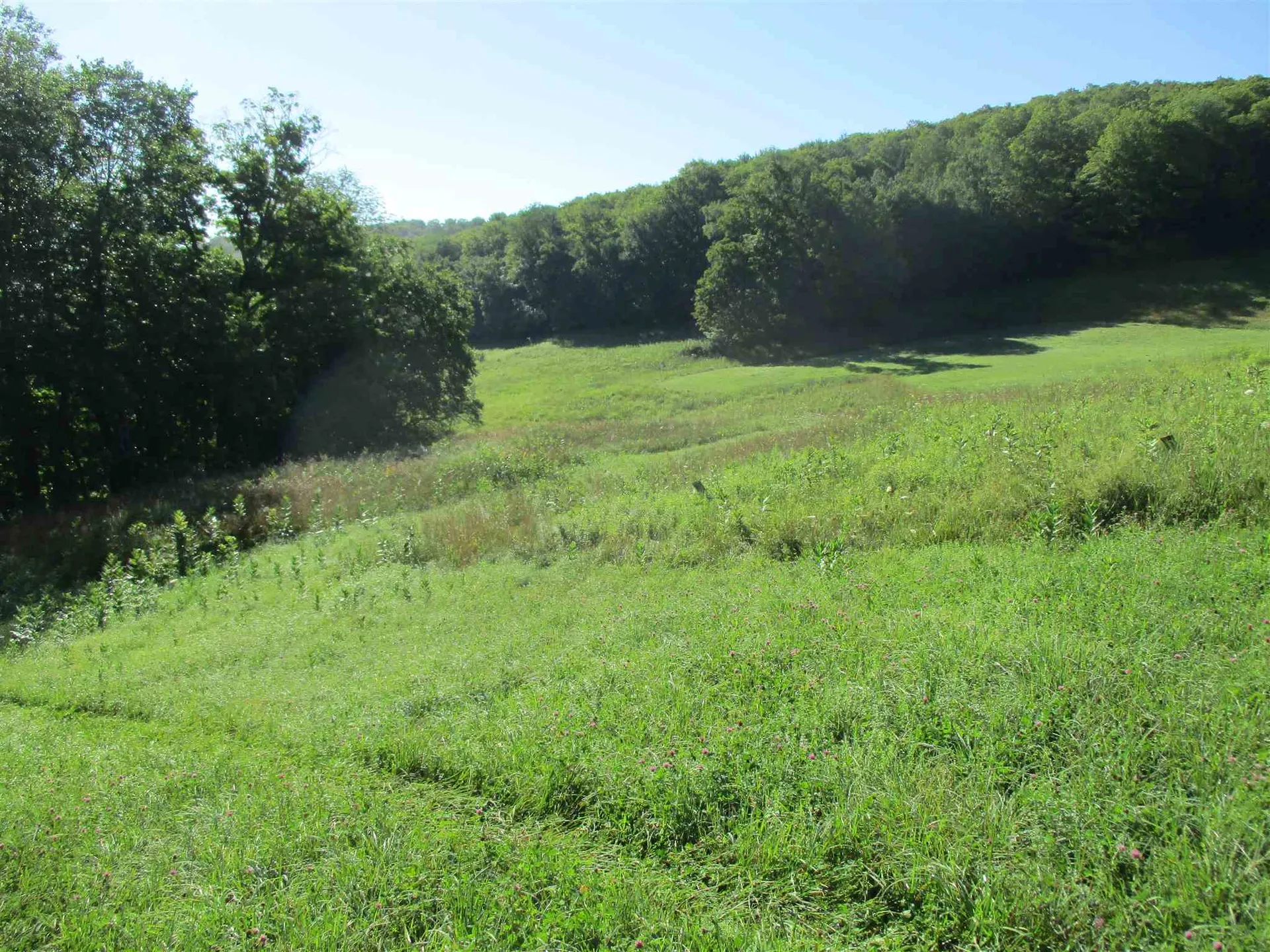 127 Bobbinshop Road Chelsea VT 05038