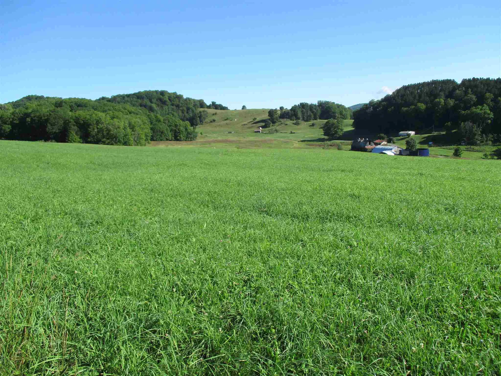 127 Bobbinshop Road Chelsea VT 05038