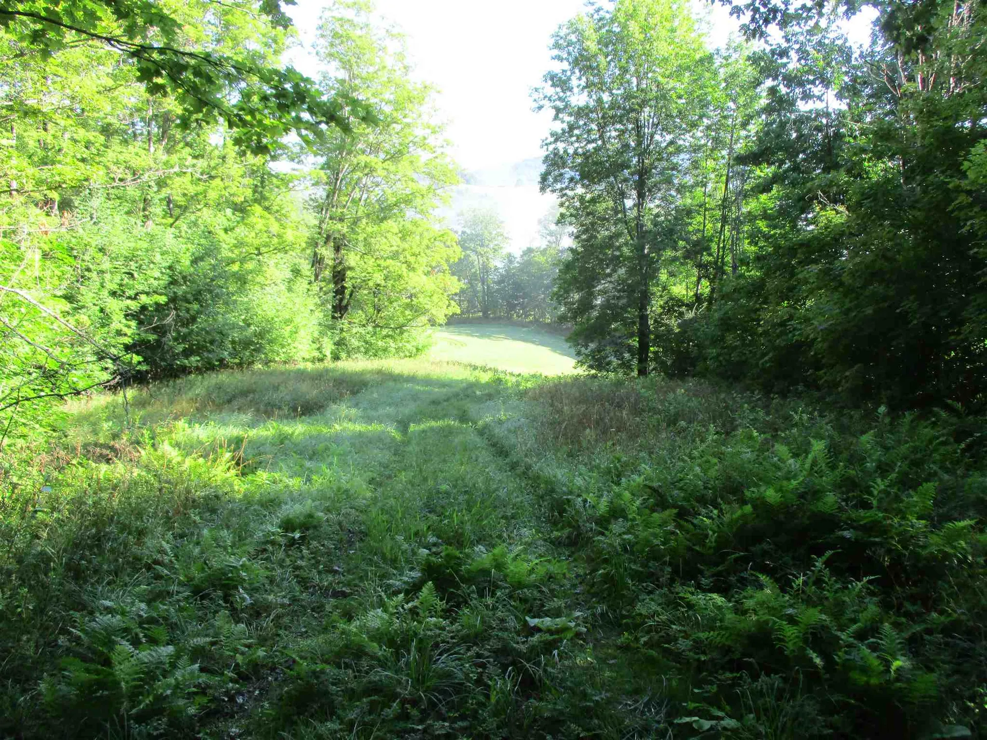 127 Bobbinshop Road Chelsea VT 05038