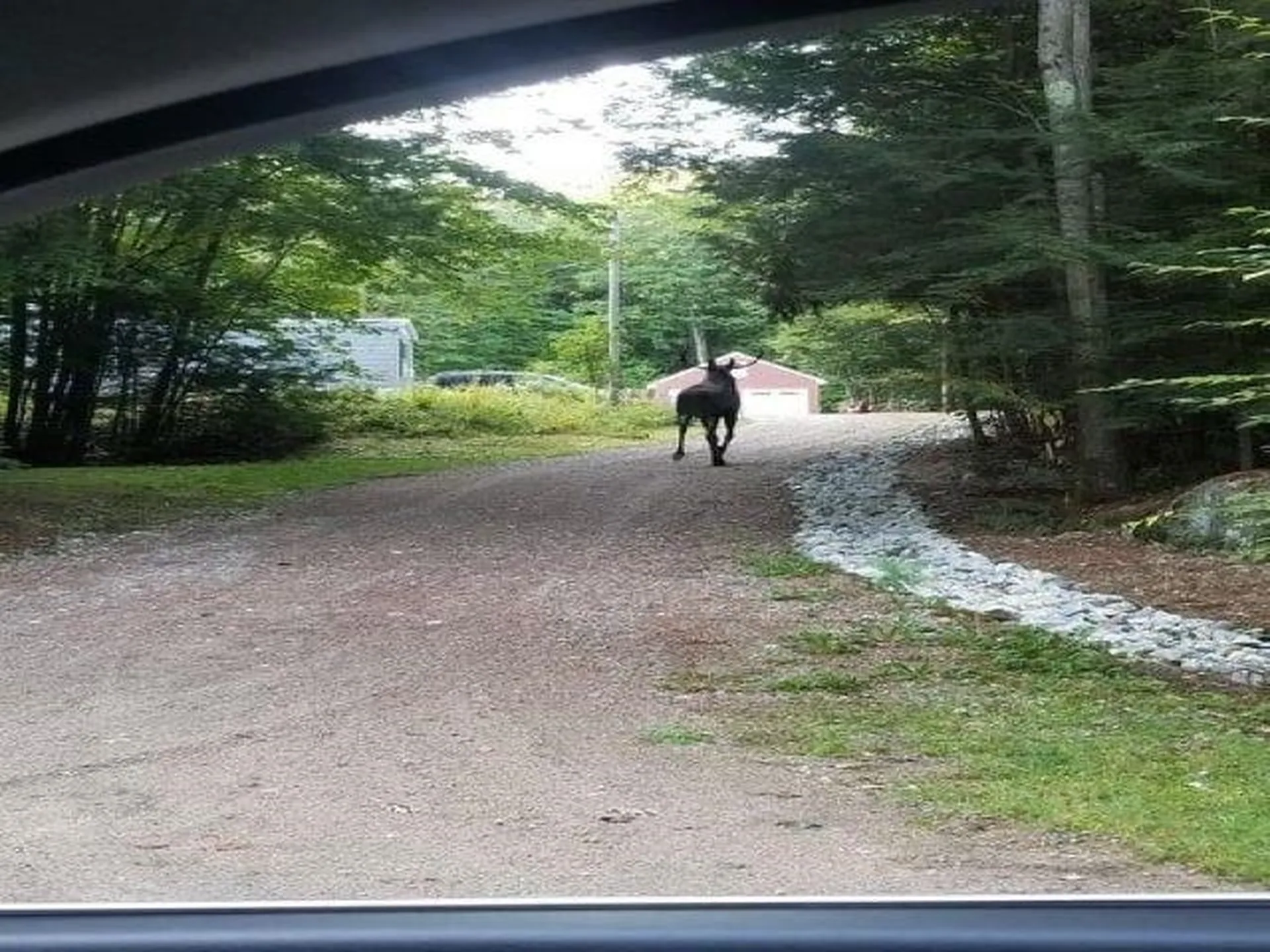 528 Stockbridge Corner Road Alton NH 03809