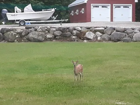 528 Stockbridge Corner Road Alton NH 03809