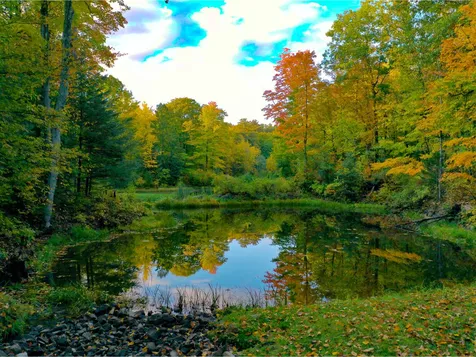 222 Lost Cove Road Colchester VT 05446