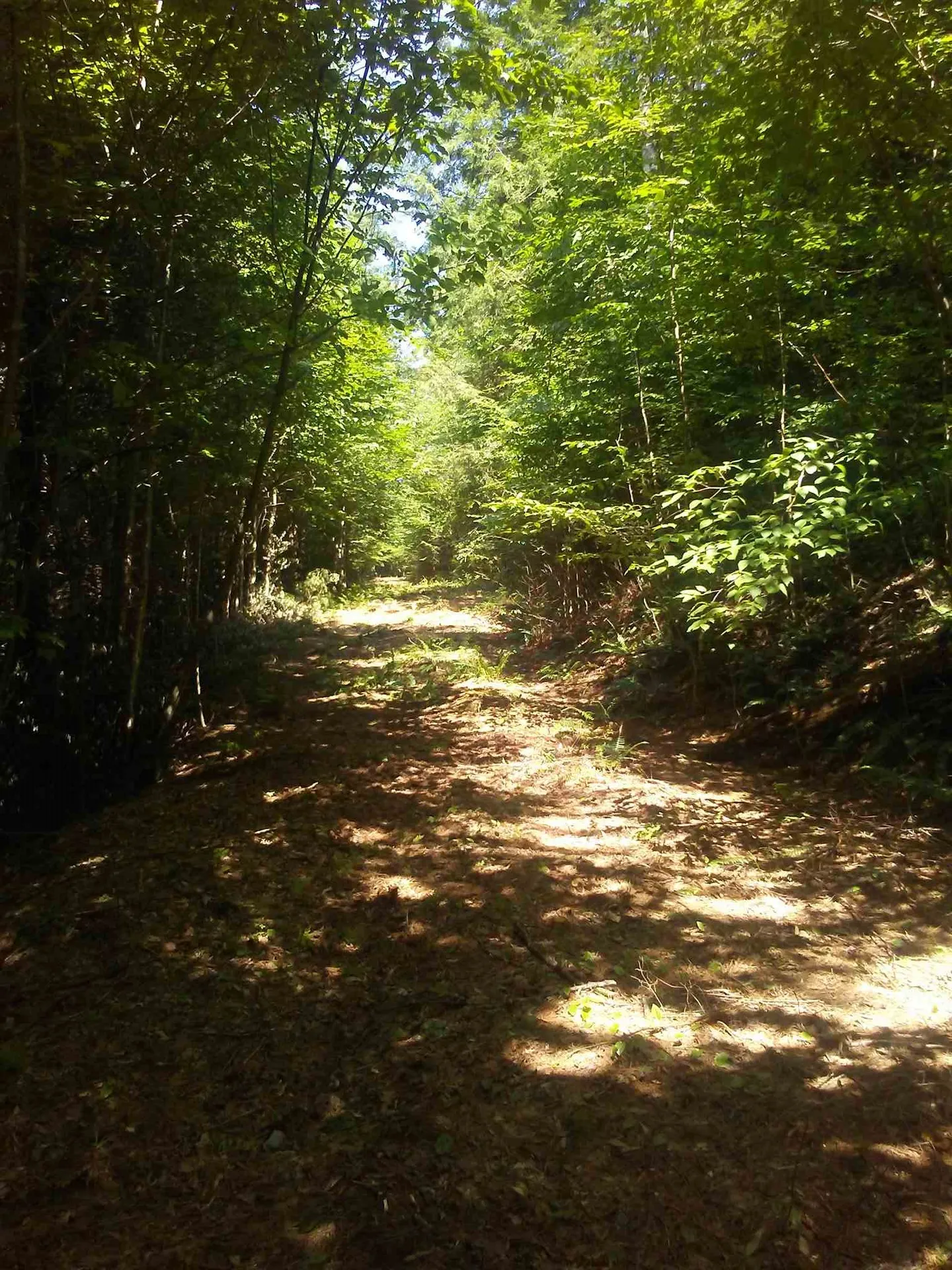 3654 Howe Hill Road Sharon VT 05065