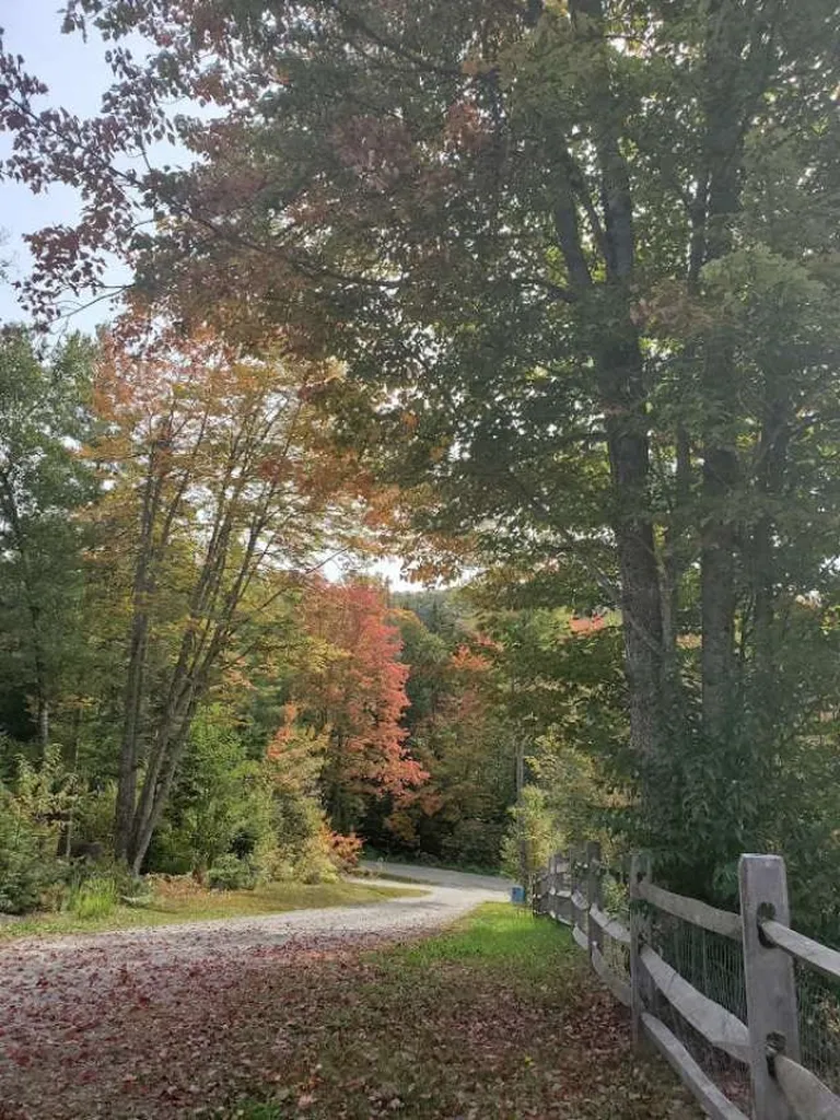 315 Spruce Lane Eden VT 05652