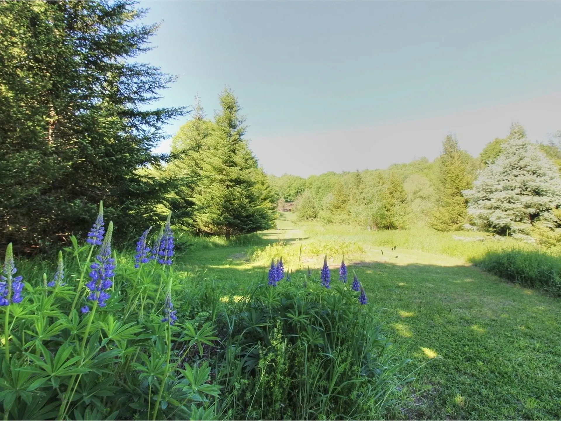 8 Tourin Road Jericho VT 05465
