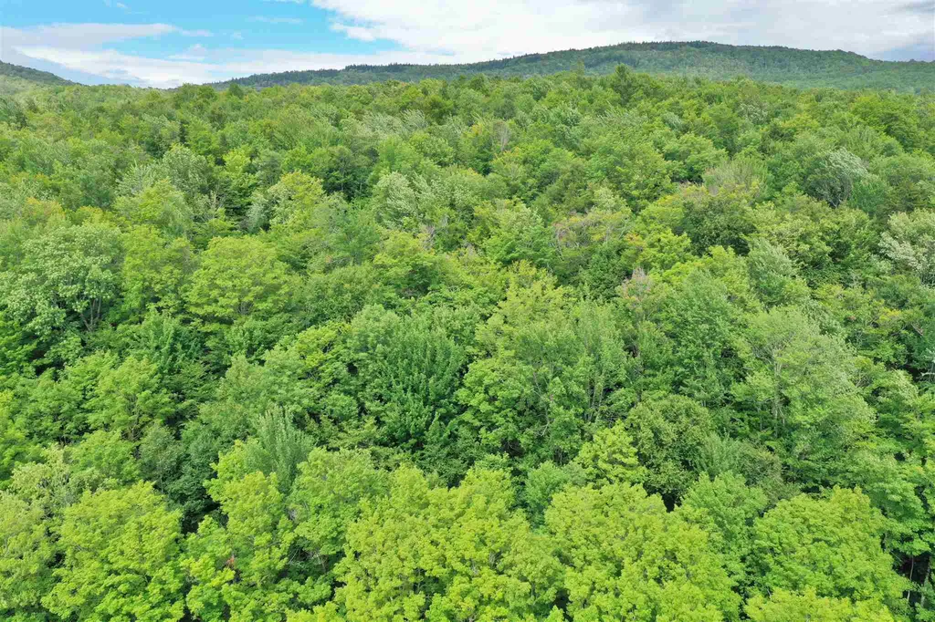 South Barton Road Barton VT 05822