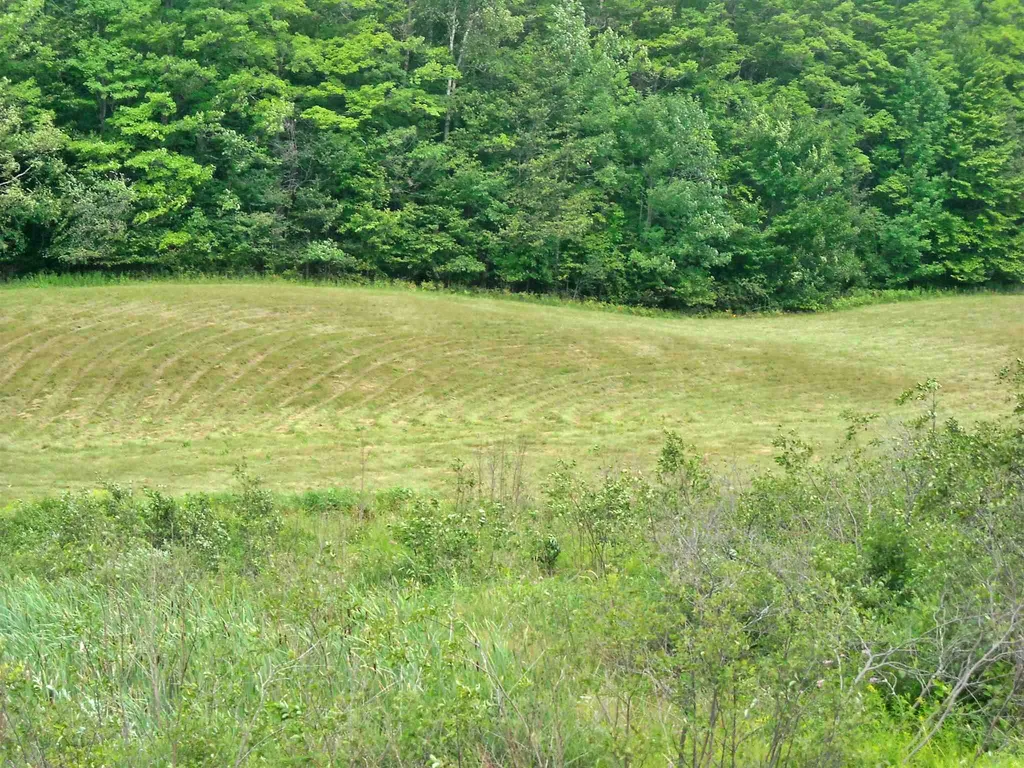 South Barton Road Barton VT 05822