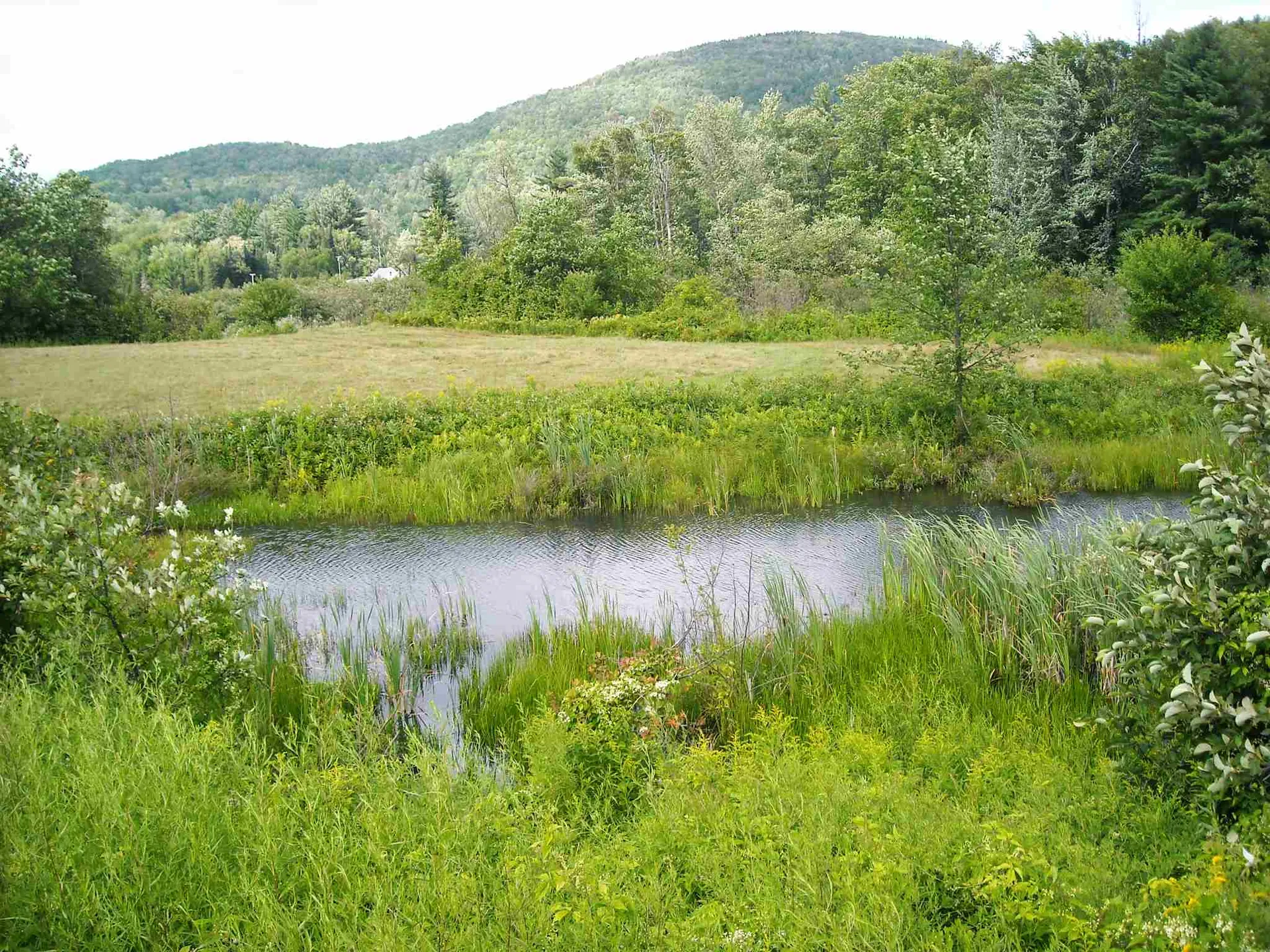 South Barton Road Barton VT 05822
