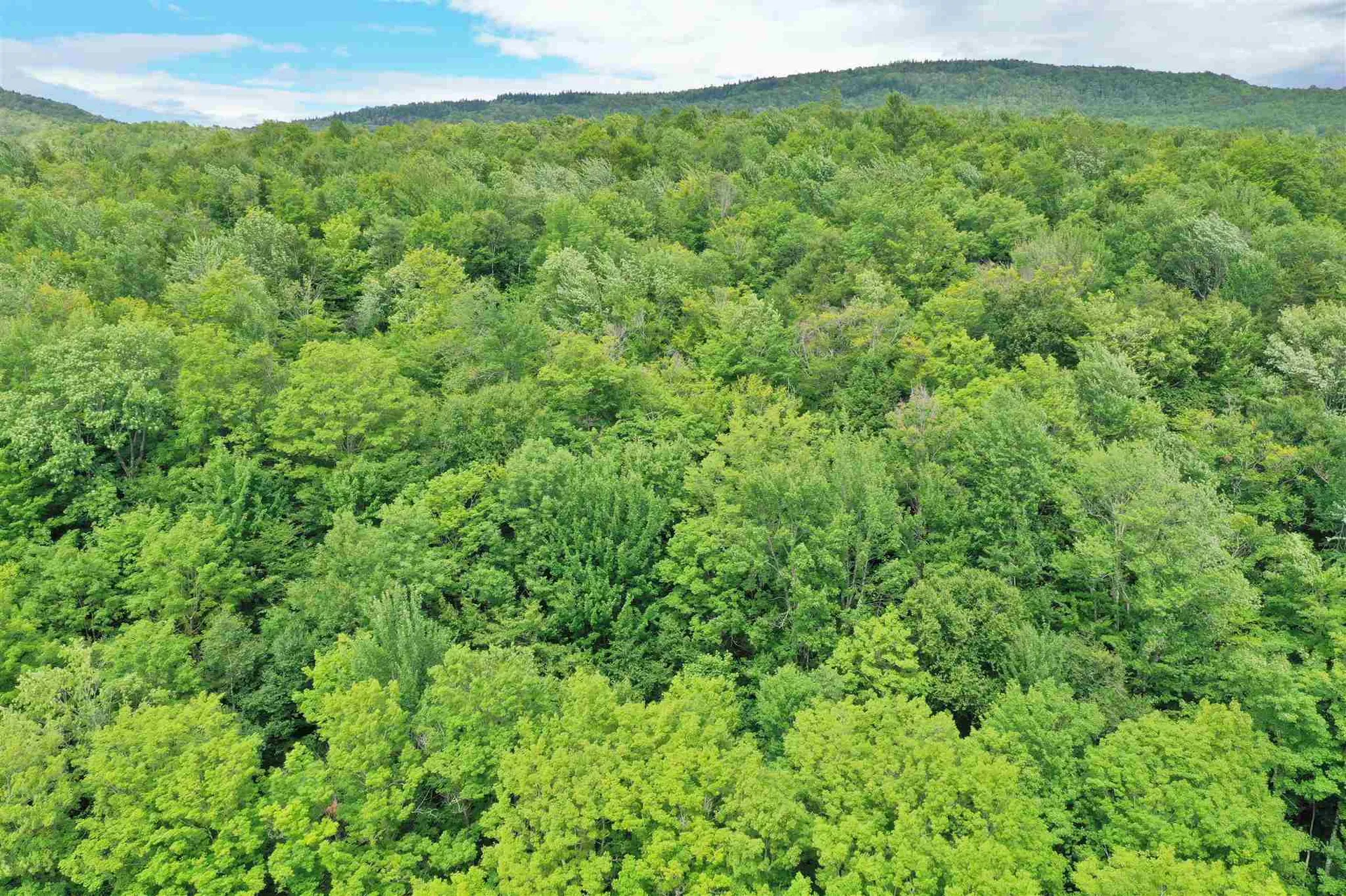 South Barton Road Barton VT 05822