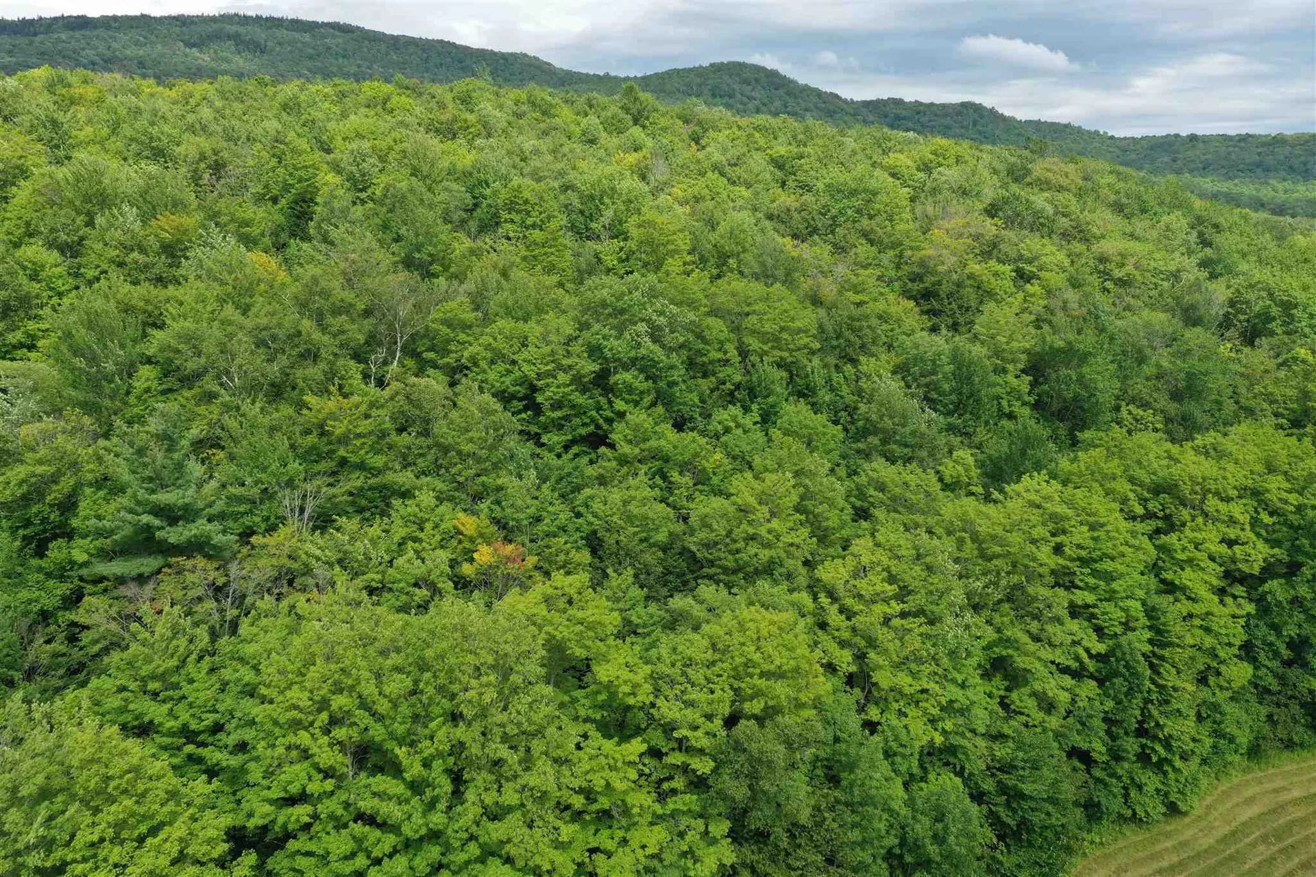 South Barton Road Barton VT 05822
