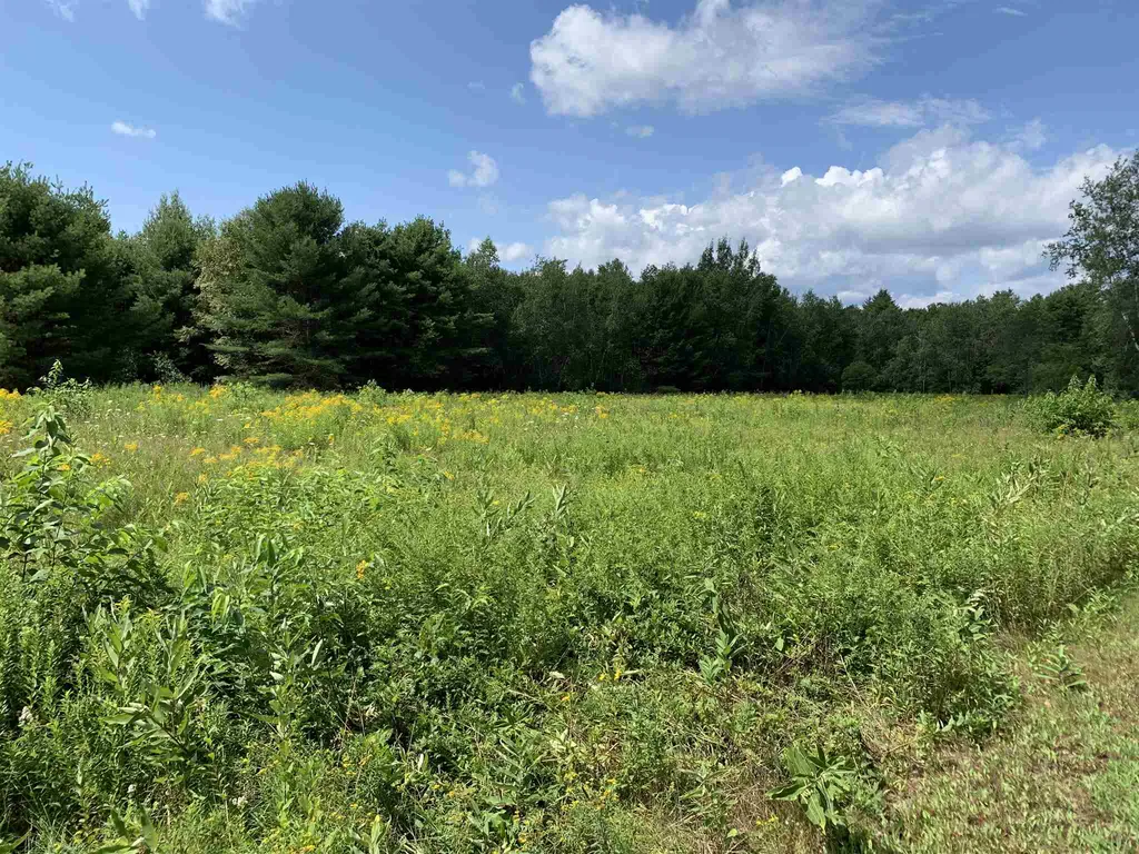 437 Wentworth Road Brookfield NH 03872