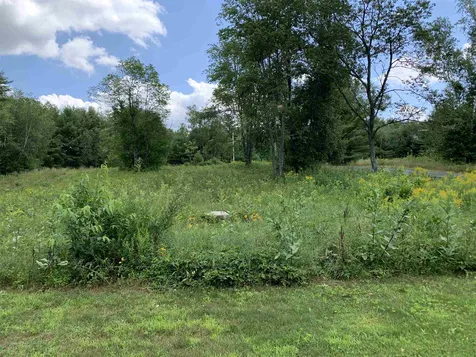 437 Wentworth Road Brookfield NH 03872