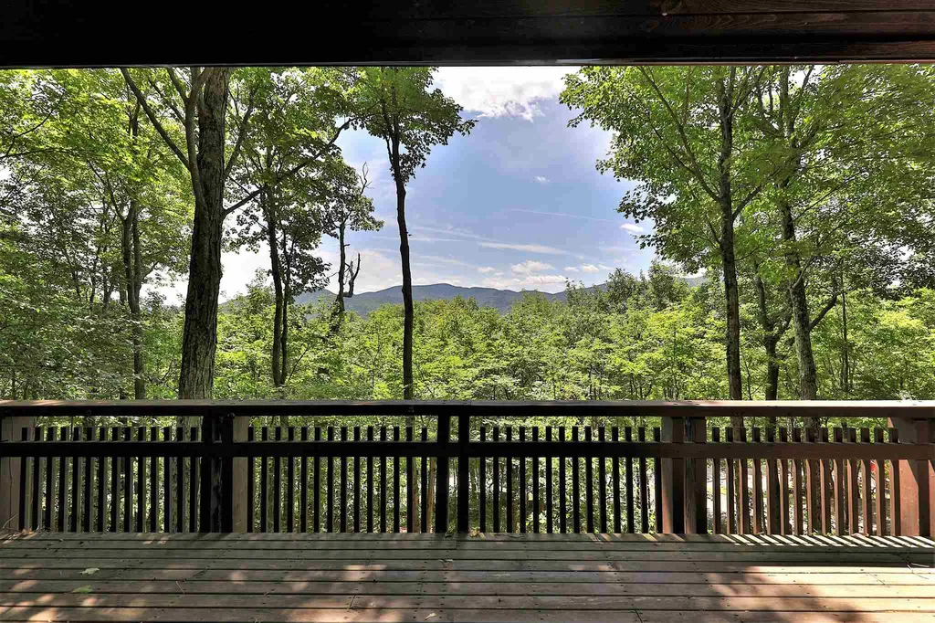 219 Sparrow Hawk Road Rochester VT 05767