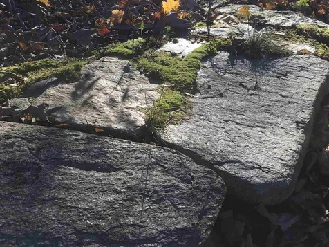 36 Prospect Street Springfield VT 05156