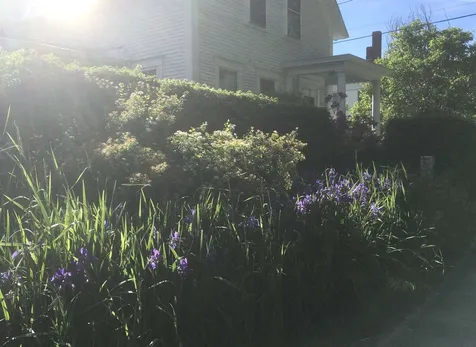 36 Prospect Street Springfield VT 05156