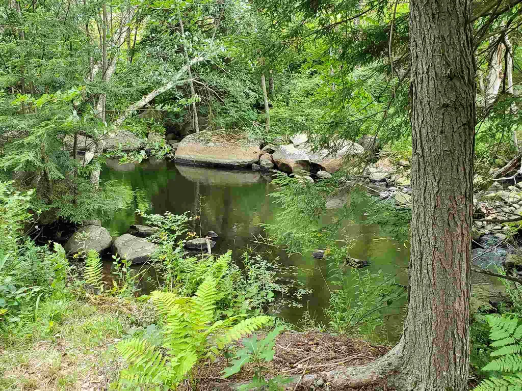 53 Jewett Drive Nelson NH 03445
