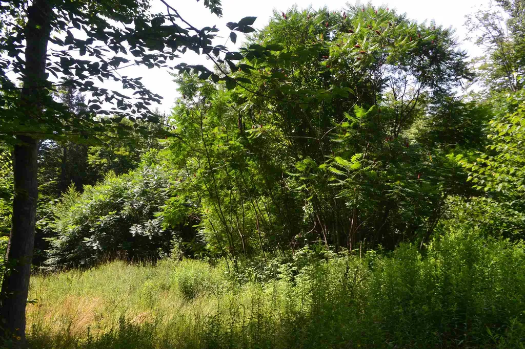 451 Raymond Road Chester NH 03036
