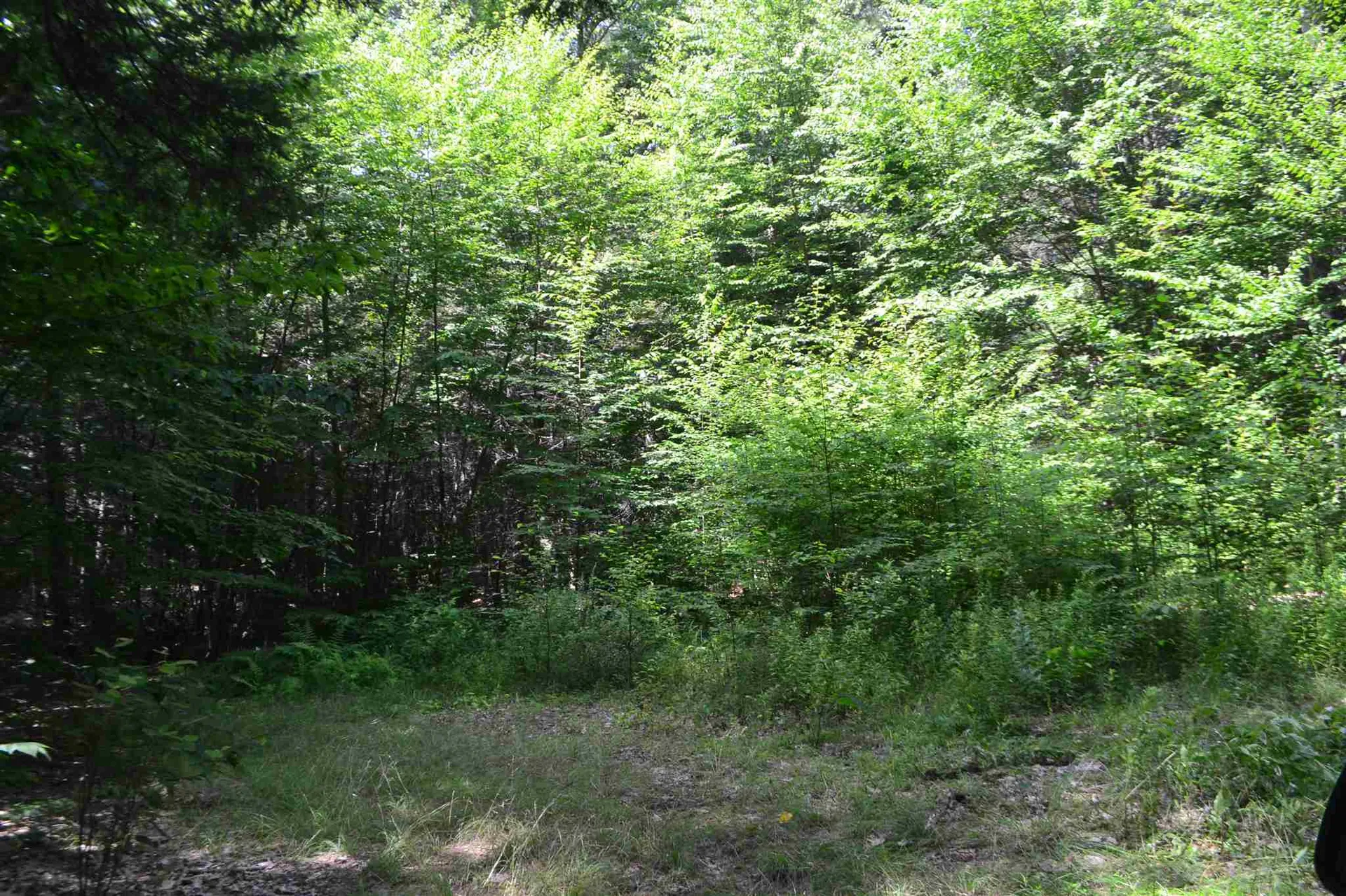 451 Raymond Road Chester NH 03036