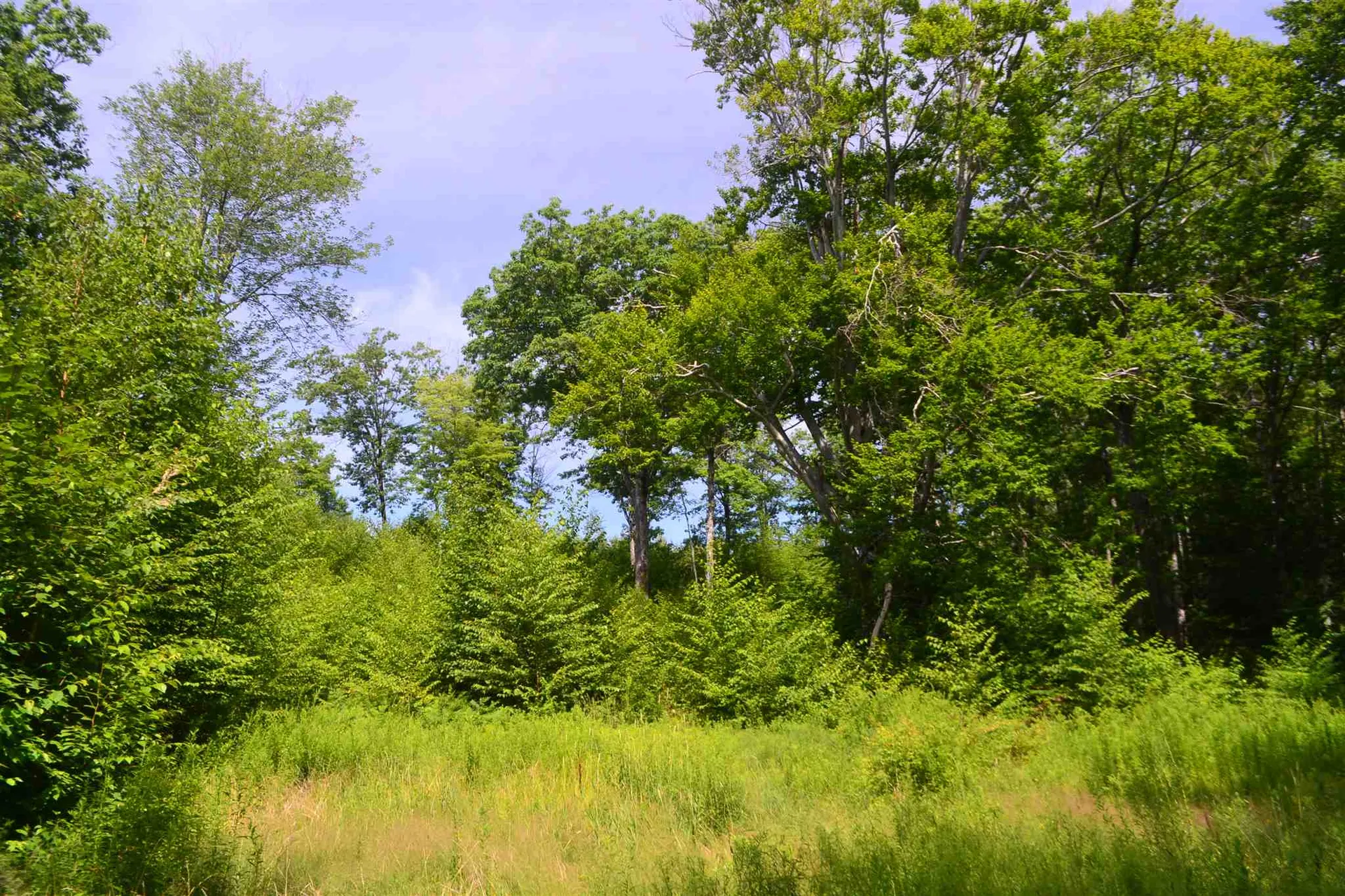 451 Raymond Road Chester NH 03036