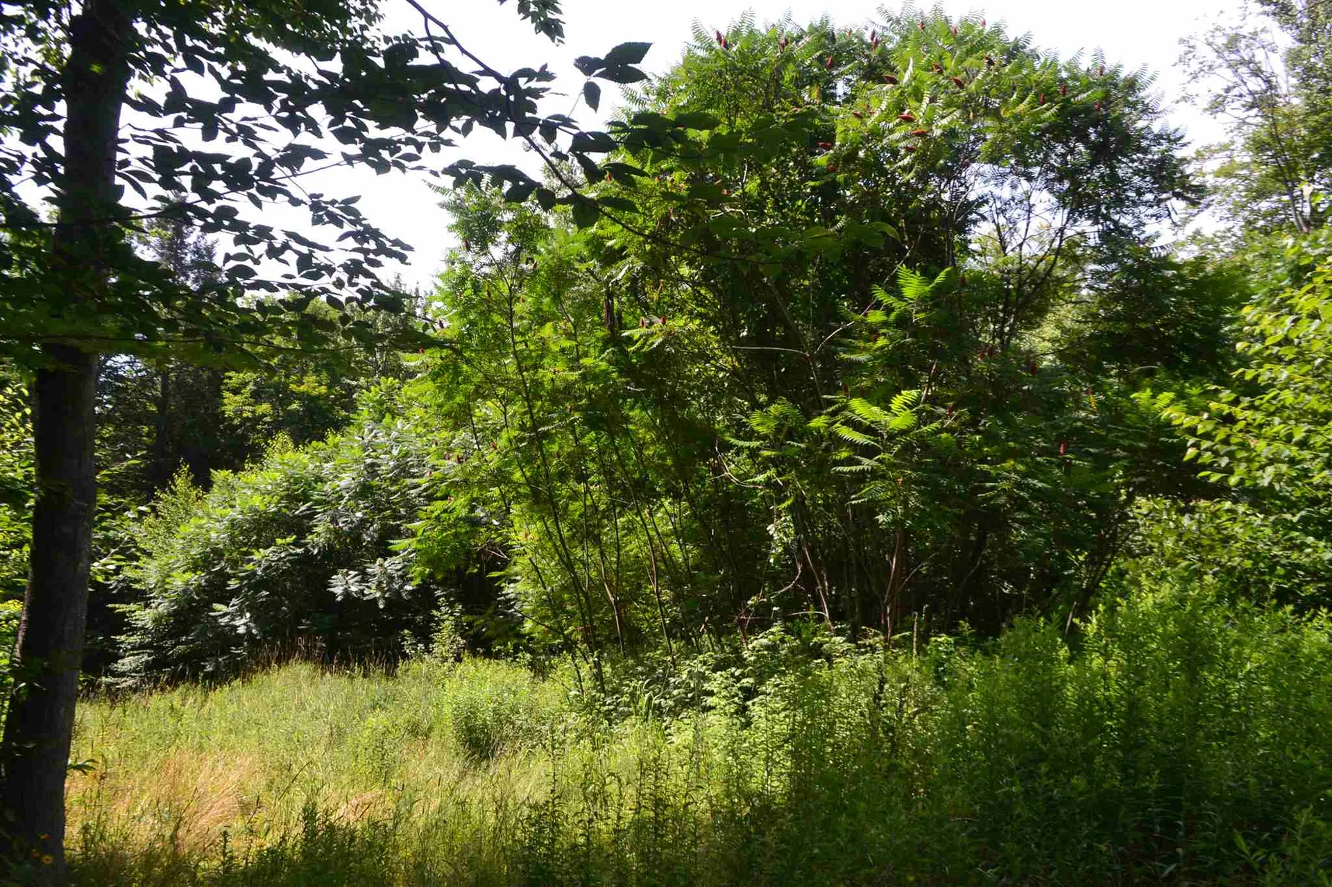 451 Raymond Road Chester NH 03036