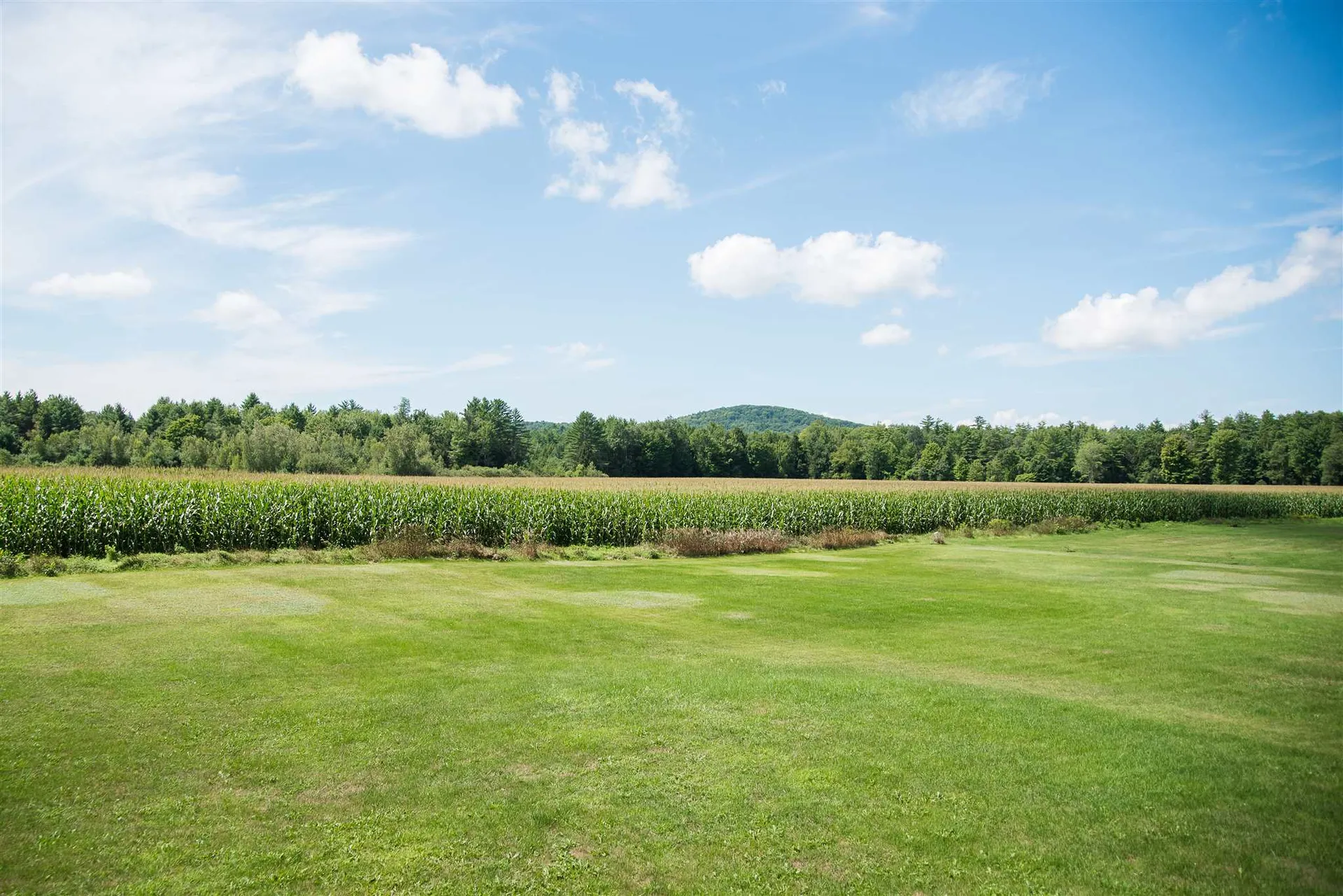 8 Emerson Drive Jericho VT 05465